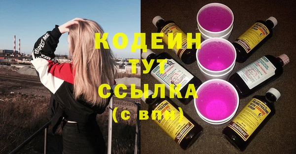 индика Слюдянка
