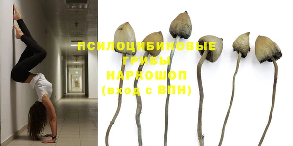 соль ск Бугульма