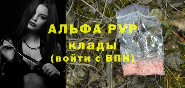 индика Слюдянка