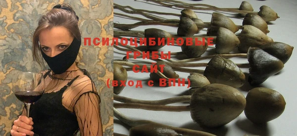 соль ск Бугульма