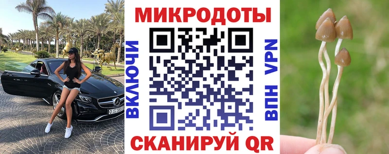 Псилоцибиновые грибы ЛСД  Добрянка 
